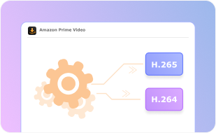 خيارات الترميز H.264 / H.265