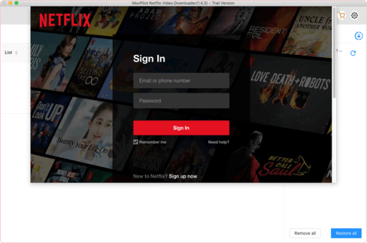 Log into Netflix Account