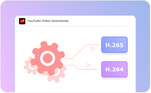 Flexible Video Encoding Options