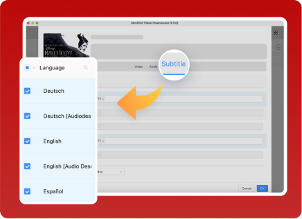 Flexible Subtitle Download Options