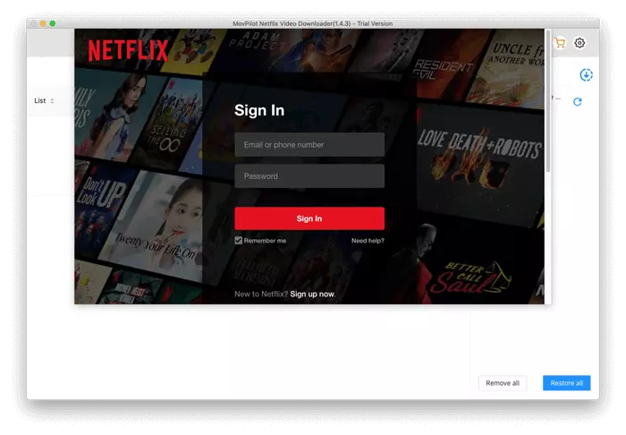Log in with Your Netflix Account