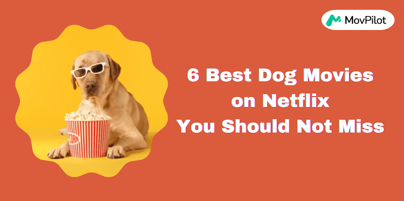 Best Dog Movies on Netflix You Should Not Miss