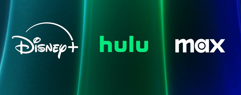 Disney Plus Hulu Max комплект