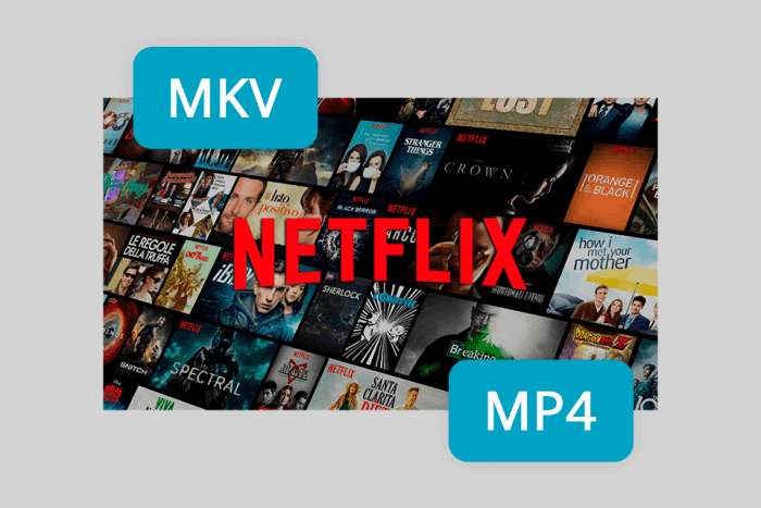 Download Netflix to MP4/MKV
