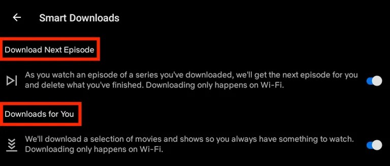 Netflix Smart Downloads