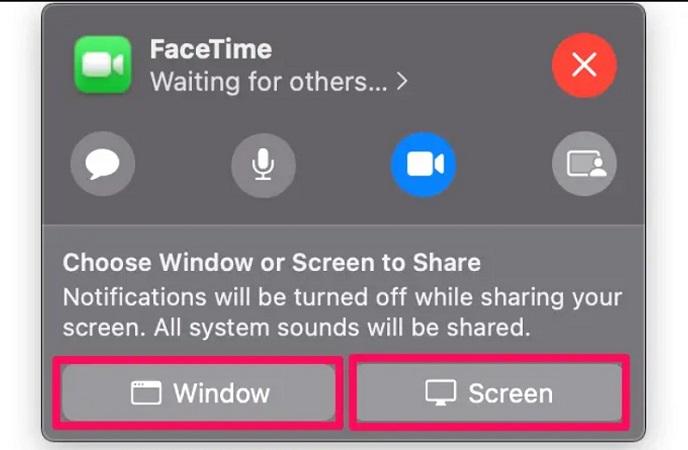 Del skærm på FaceTime på Mac