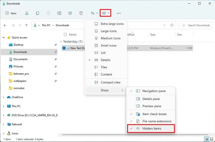 Show Hidden Files on Windows 11