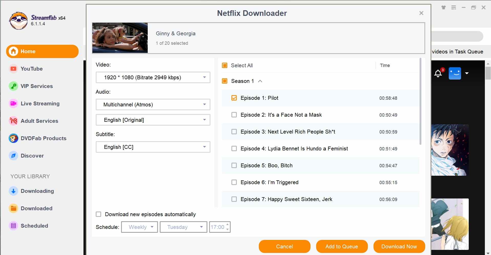 Indstillinger for StreamFab Netflix Downloader