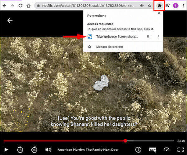 Use Fireshot Chrome Extension to Screenshot Netflix